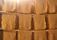 chiyaporn-rubber2.png