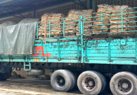 skimrubber-chiyaporn3.png