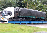 skimrubber-chiyaporn2.png